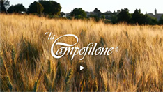 La Campofilone